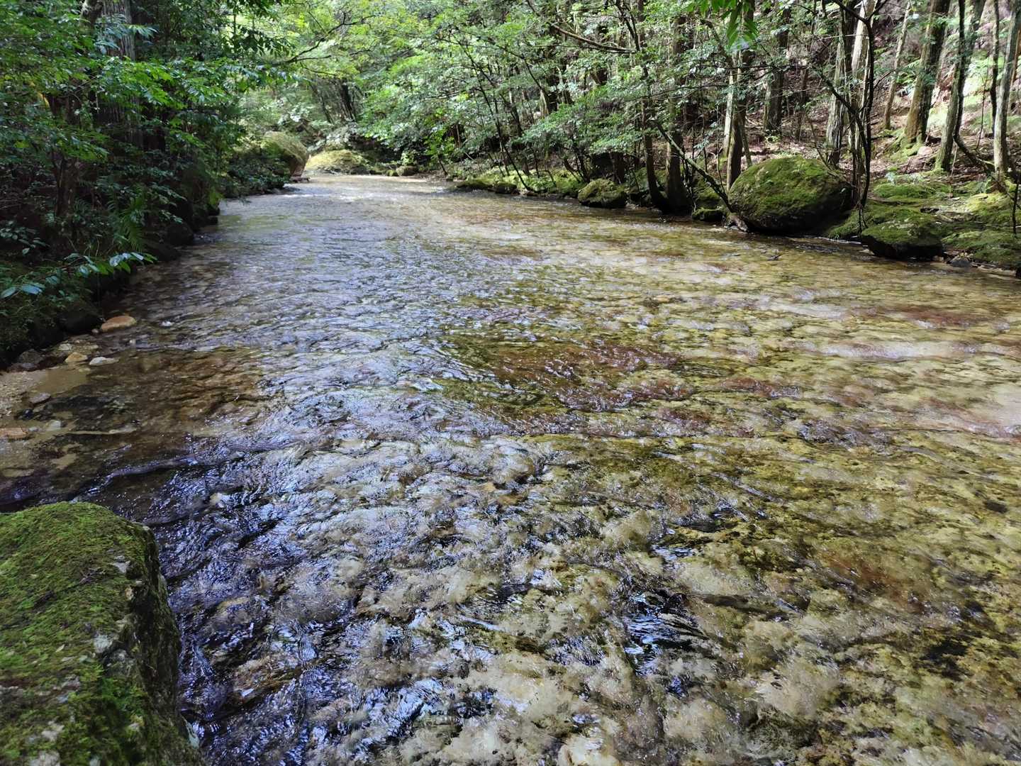 川床は流紋岩質凝灰岩から成り、一枚の様に見えます
多くの方が水遊びを楽しみに来ていました
