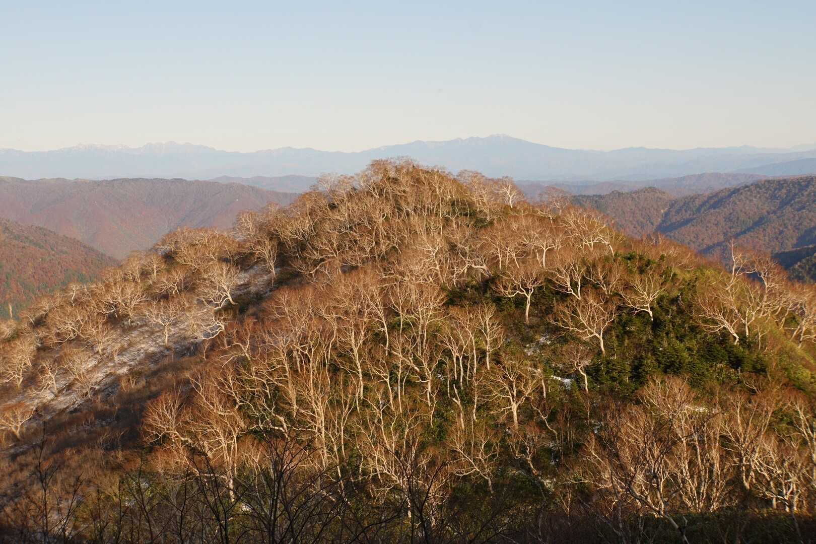 大倉山の写真