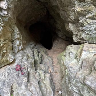 穴の中は何かあるのかな？