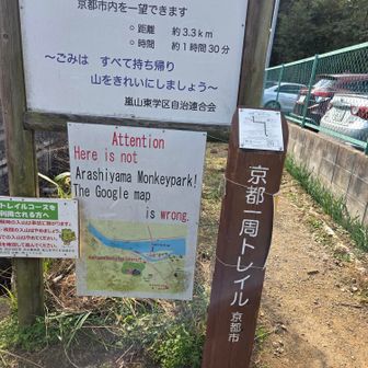 これ！見つけ〜た！西山、いつ来れるかな、