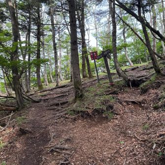ここで右に行って剣ヶ峰のピークを踏んできます🦶