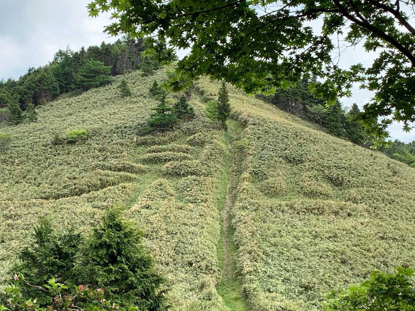 振り向くと降りてきた笹原に文字
「泉山」