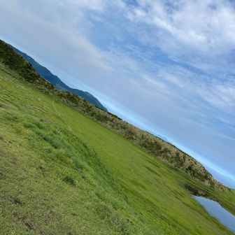 草原を突き抜ける