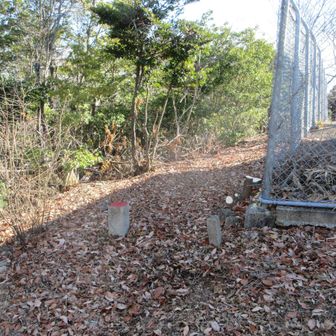 こっちも基準点らしき石柱