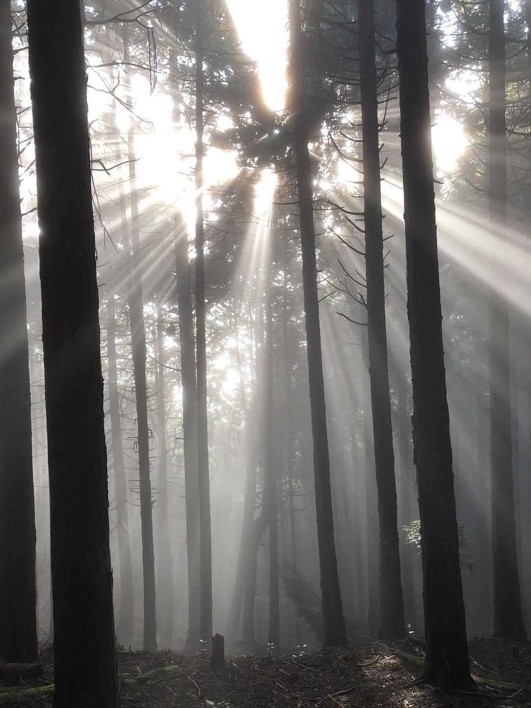 幻想的
…な景色のなかペースわからず汗だくハァハァ