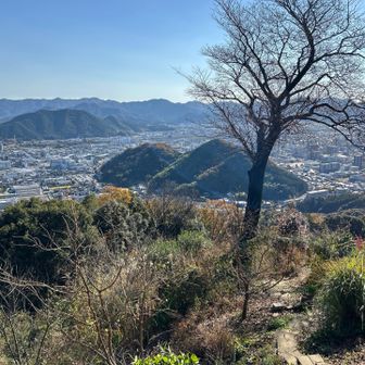 途中の展望スポットからの眺望。姫山？