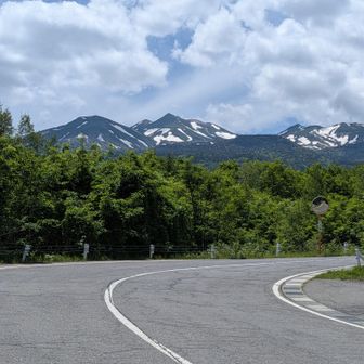 お昼からは雲が出てきてる