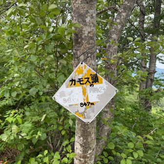 本日一座目⛰️
急登だった💦