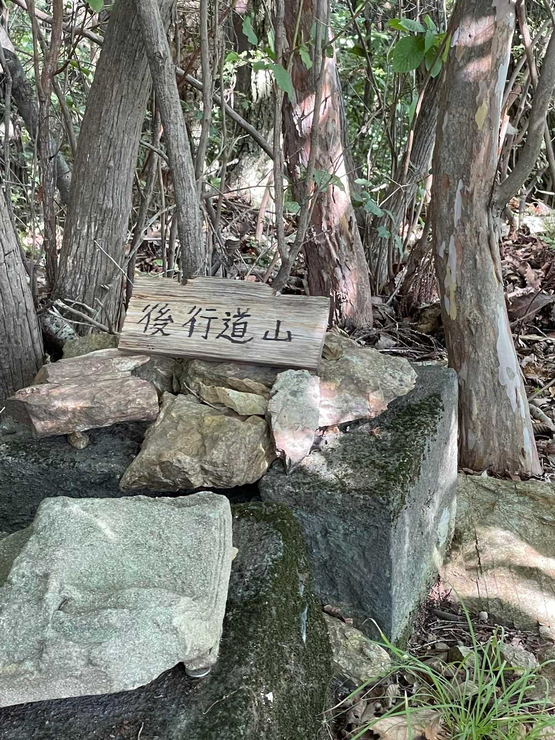 後行道山　展望なし