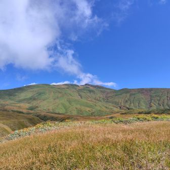 朝登ったラインと伏拝岳