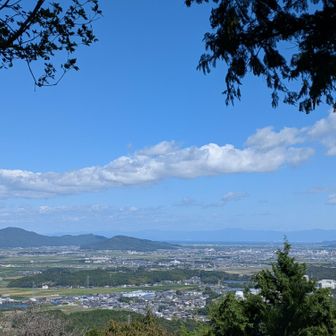 こちらは左奥に八幡山と近江八幡の街並み
山田君…もとい、秀次のお陰で近江八幡の町は栄え、美味しい た◯やの三笠やバームクーヘンが誕生したのだと、私は勝手に思っています🍩
