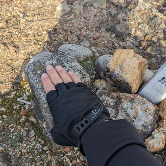 三角点にパイルダーオン！🤚