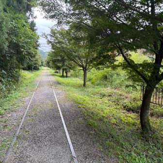碓井湖に戻り、今度は横川駅方面へ向かいます。こちらはレールが埋まったままの道で、トンネルも橋梁もありません。