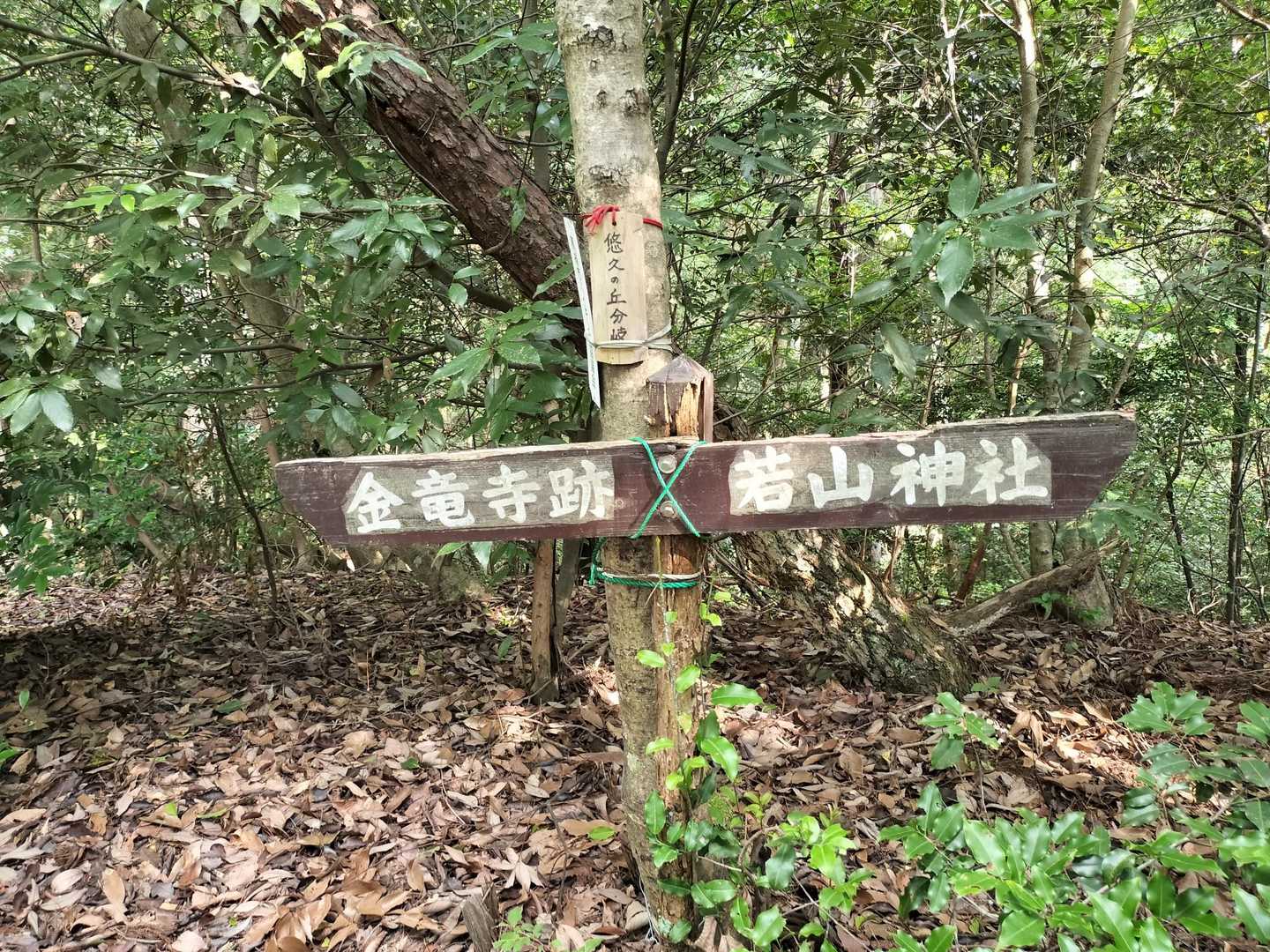 バス停に近い金竜寺跡の方へ下ります😌