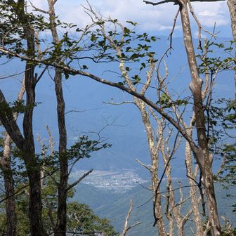下山途中に富士川町方面が見えた