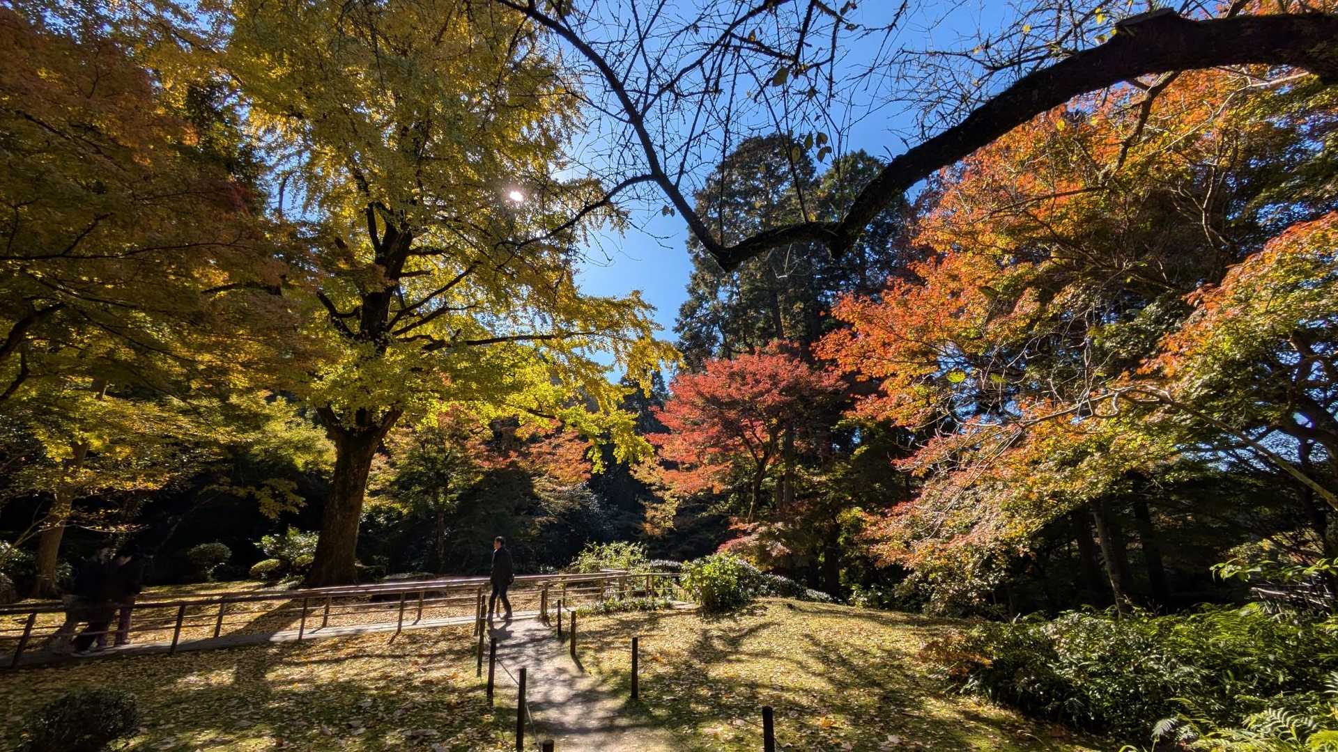 清水寺-清水山-清水山-古僧都山 周回コースの写真
