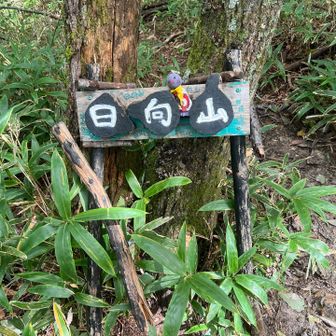 三角点の裏に日向山の標識があります