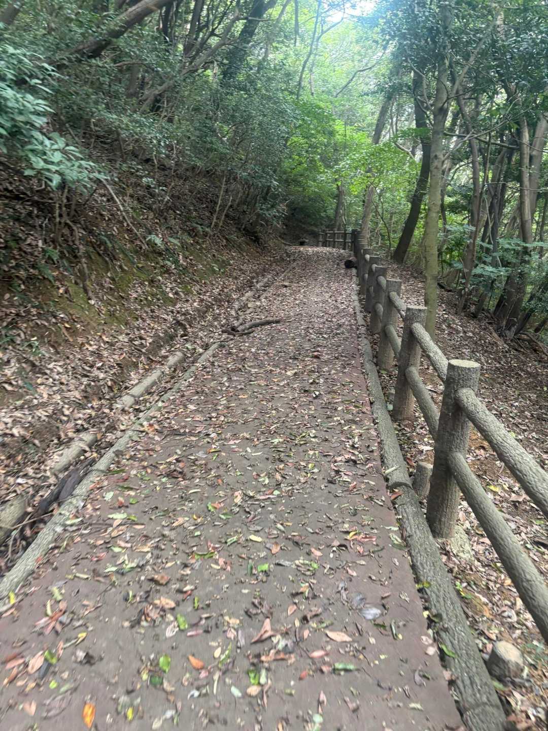 さて戻ろう😊
