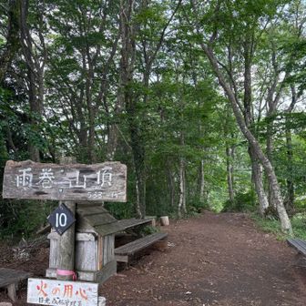 雨巻山登頂⛰️
たくさんのベンチがあります。
そしてこの裏には小箱があって雨巻山ノートがありました。
読んでみればよかった…

途中クマバチがいましたが、何もしなければ攻撃されることはないので安心して登れました。