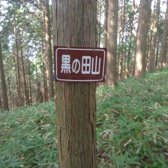 黒の田山
