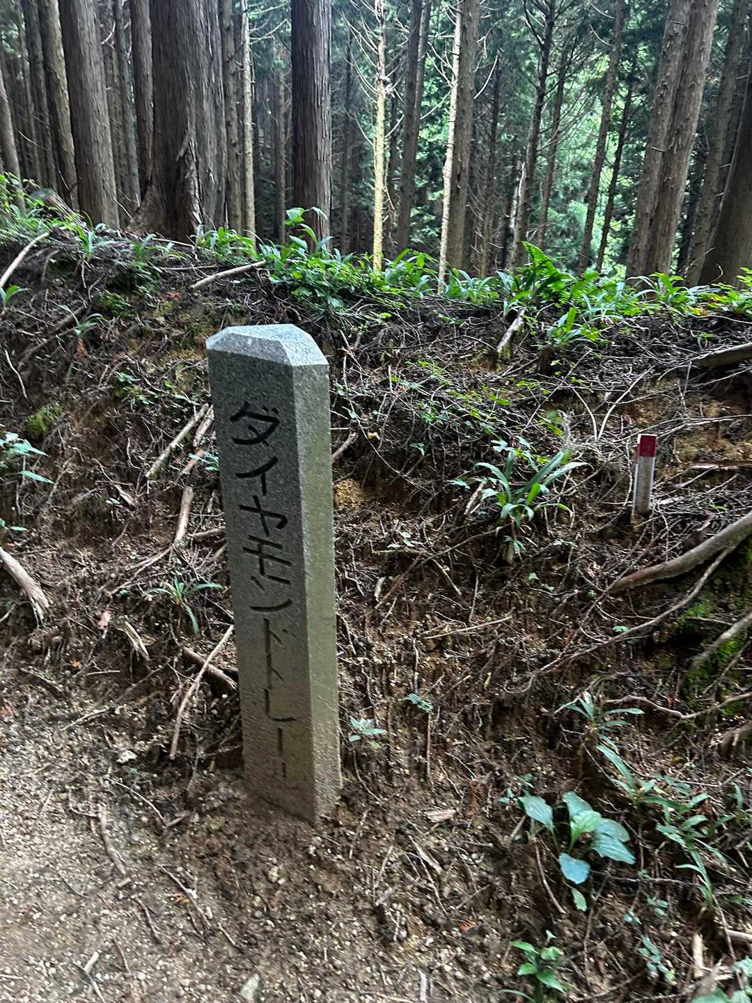 金剛山-金剛山山頂売店-金剛山葛木神社-水越峠バス停 縦走コースの写真