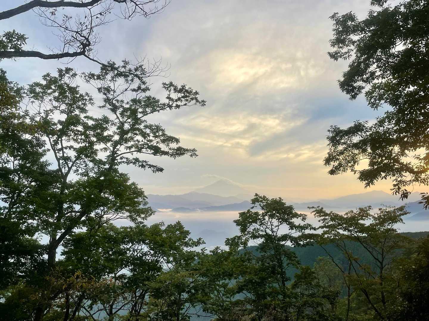 今年は暑くて暑くて、序盤でガス欠。。。周りもみんなそんな感じでした。例年以上にゾンビが大量発生。。。