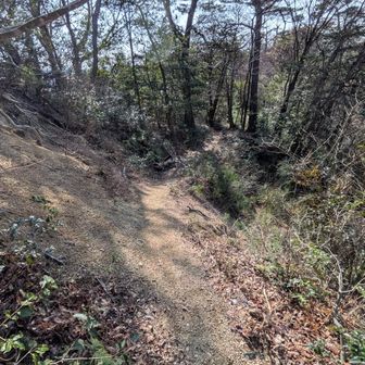 片側谷の登山道、路肩少し崩壊気味有り　注意⚠️
