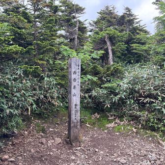 山頂。見晴らしはない