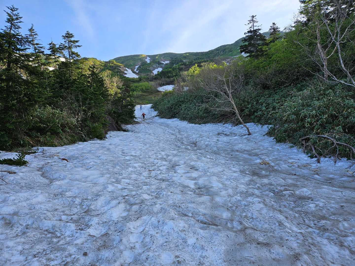 甚之助避難小屋の下部あたりから雪が出てきます⛄
ここ数日の高温の影響で、雪が凍っている箇所はほとんどありませんでした🐾