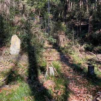 参拝して社殿の右側から登ります。