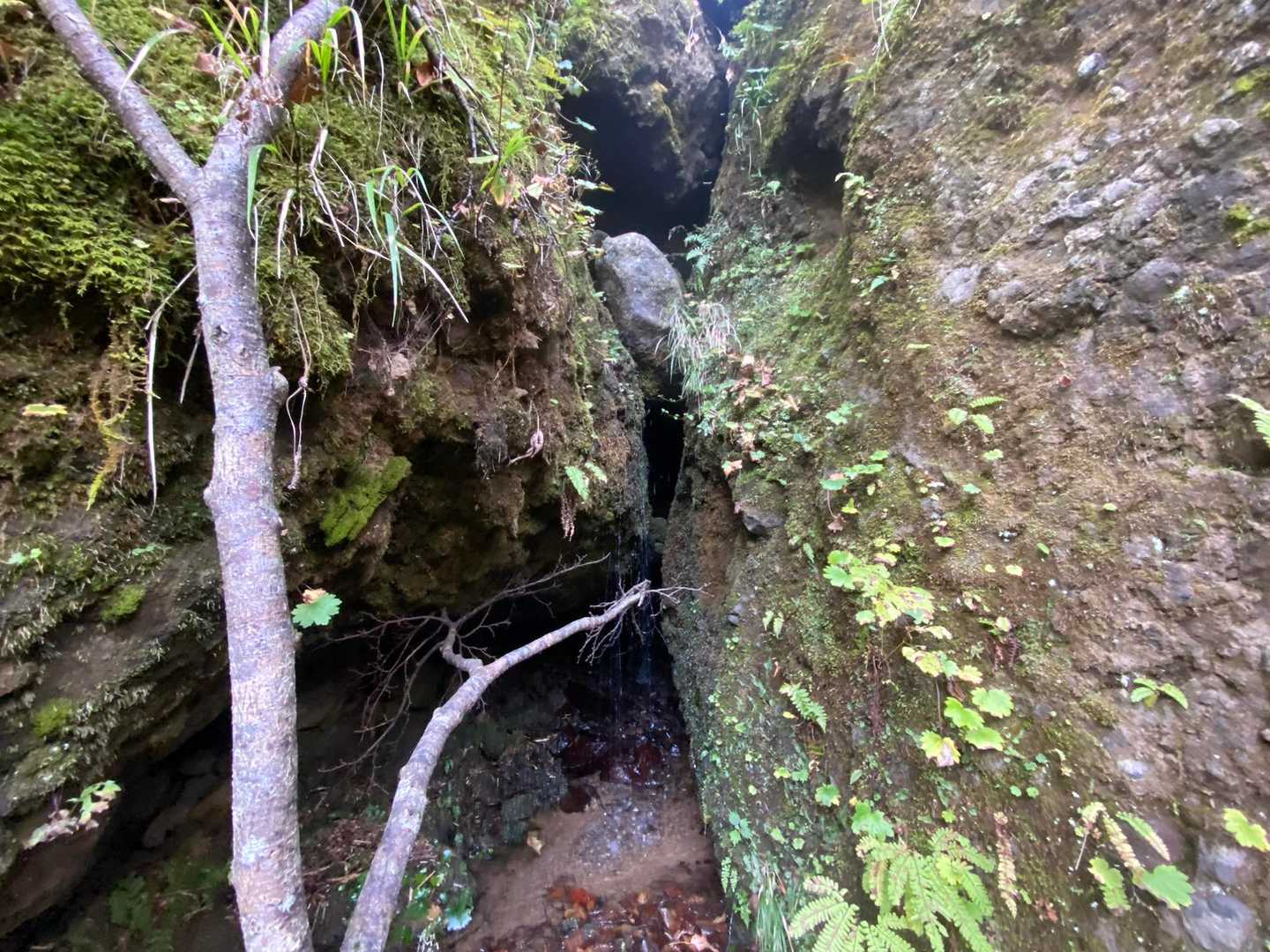 岩と岩から滴るお水が綺麗！