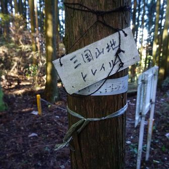 この三国山地トレイルの標識を頼りに進みます