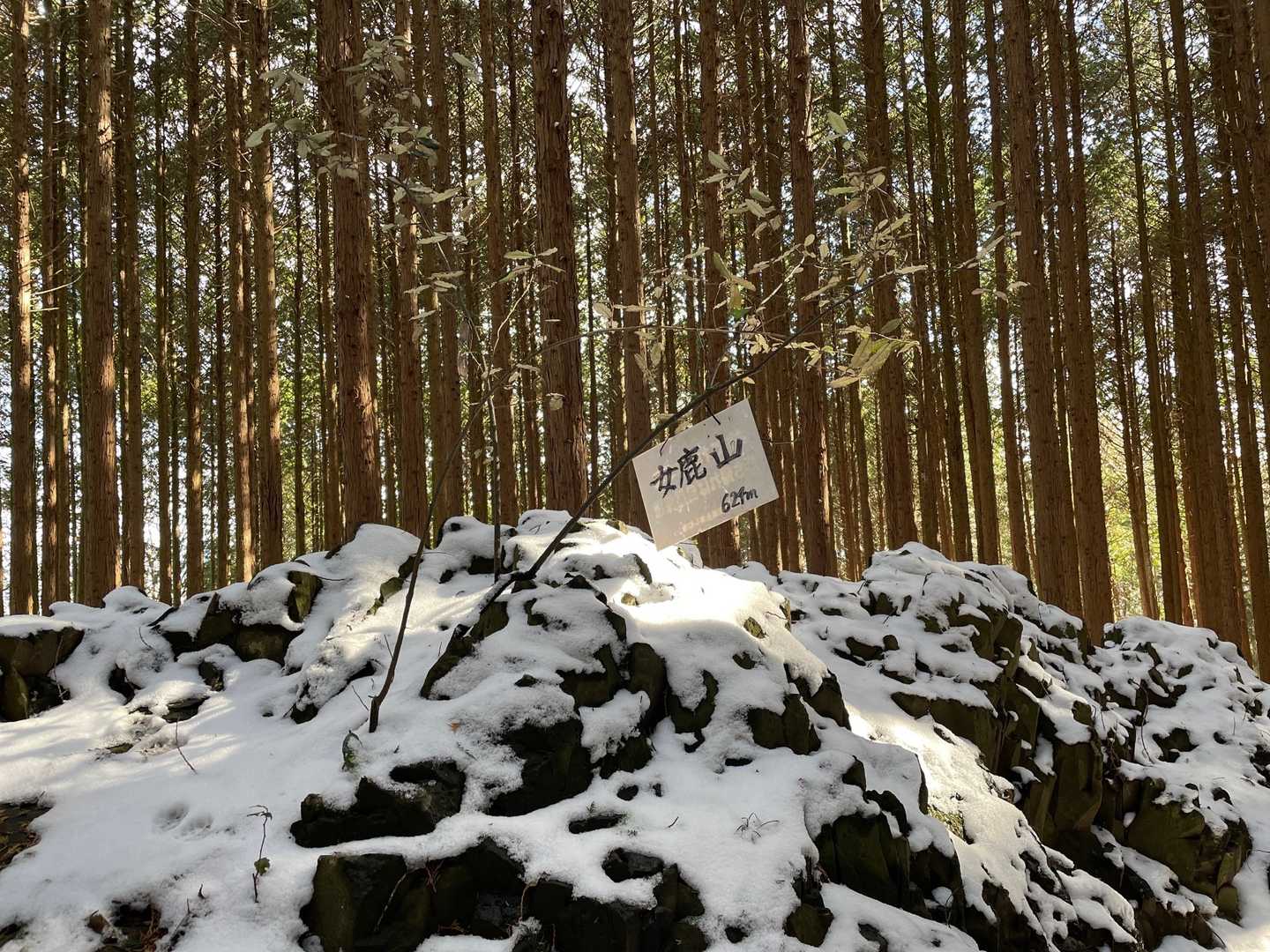 女鹿山🦌に登頂です！