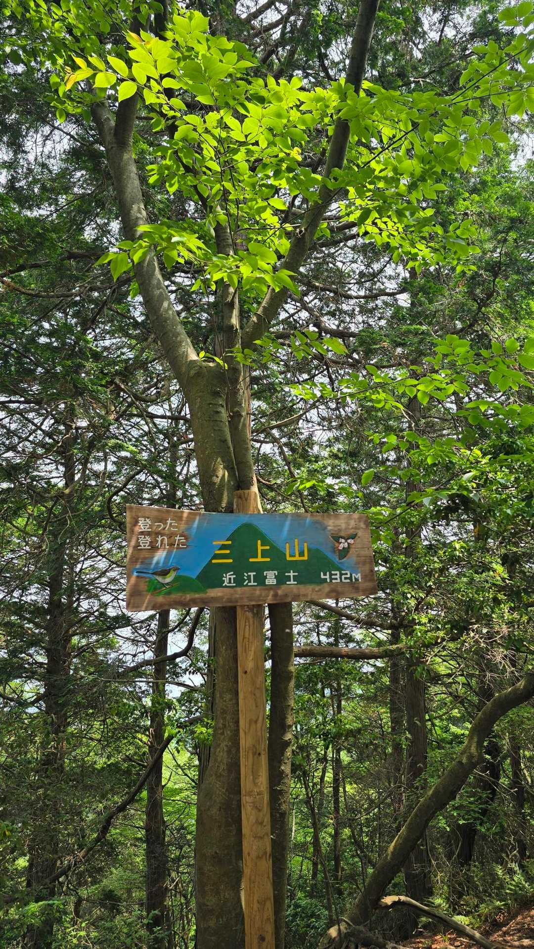 野洲駅-三上山登山道入口-三上山-東光寺日陽山-田中山 周回コースの写真
