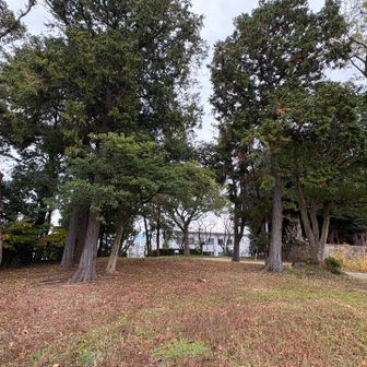 YAMAPでは岡本山になってて
ここが山頂のようです。