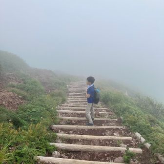長居はできないので、すぐさま下山🚶