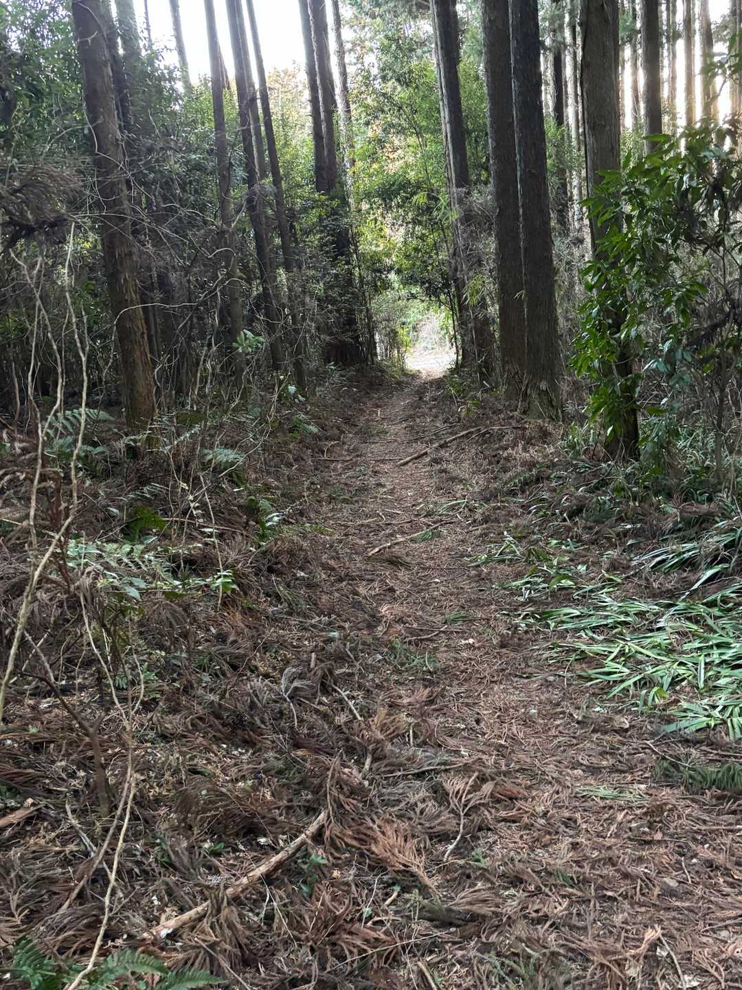 やっと登山口へ。