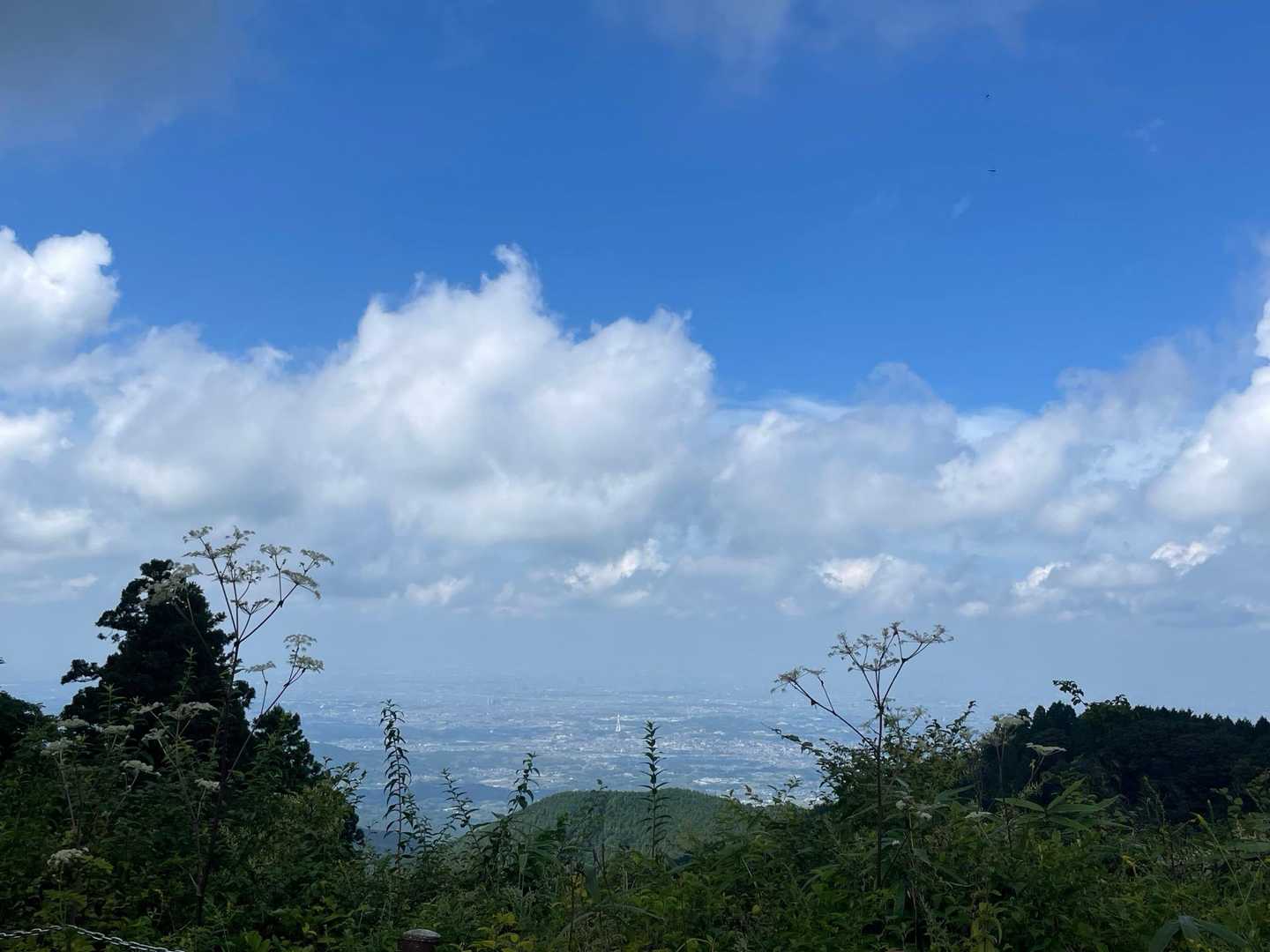 百ヶ辻登山口-伏見峠-府民の森 ちはや園地-金剛山 往復コースの写真