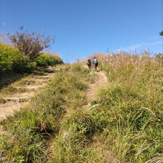 最高の天気