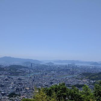 我輩は豚である ･ω･✨