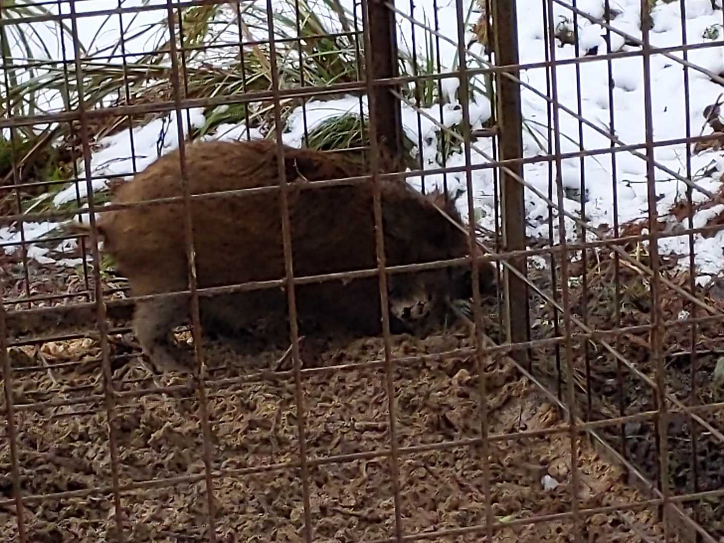 平バス停-アラキ峠-権現山 往復コースの写真