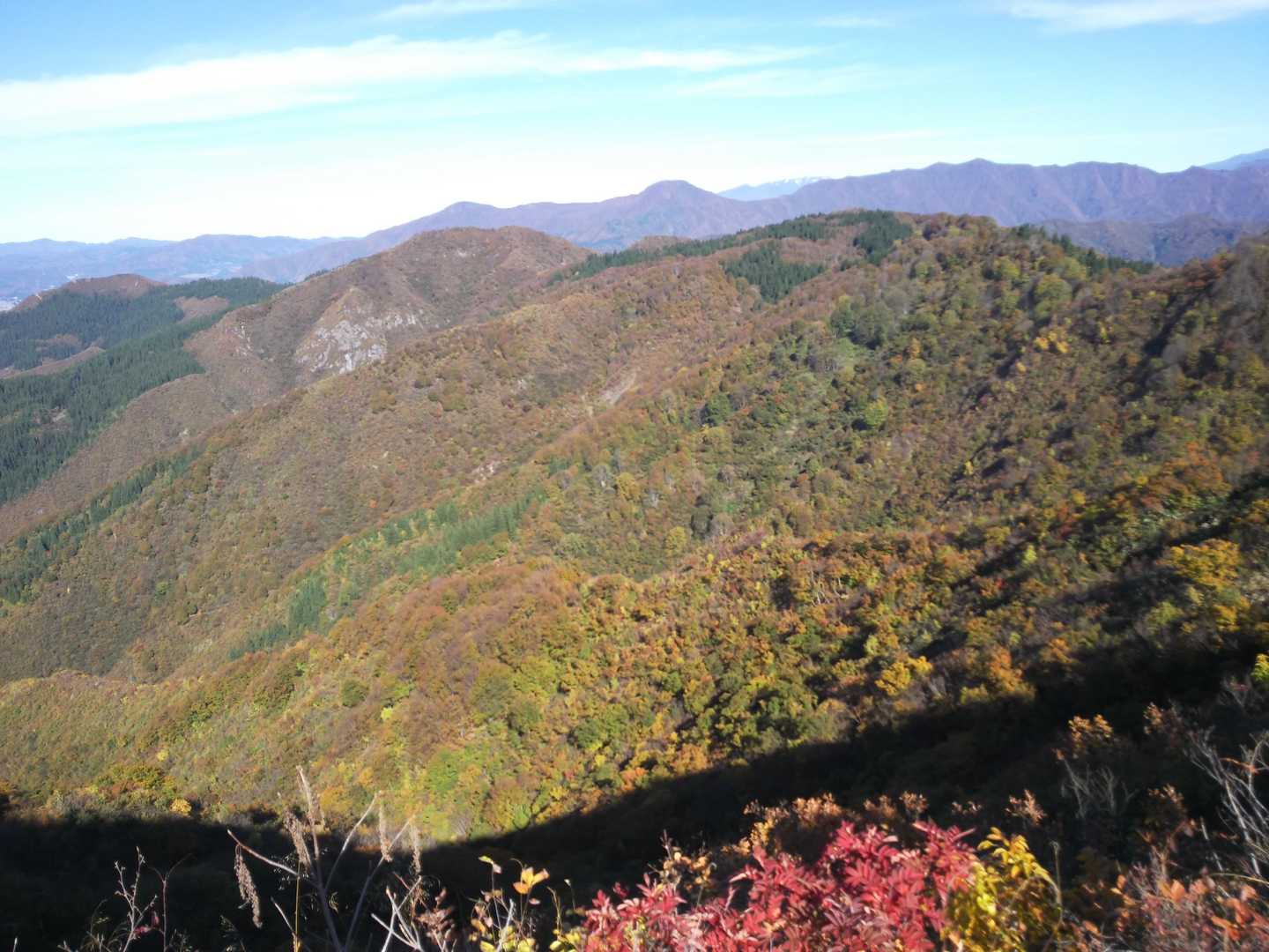 一本杉-鳴倉山-トヤの頭-駒の頭-黒禿の頭-笠倉山-大力山 周回コースの写真
