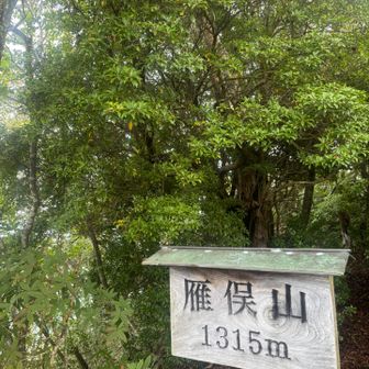 雁俣山