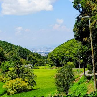 いつも撮ってる傍示の棚田。🌾🤗