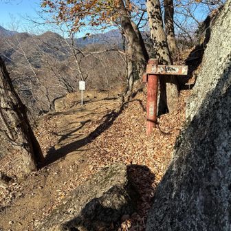 落ち葉が多くて道がわかんない🍁
滑るし本当嫌い😓