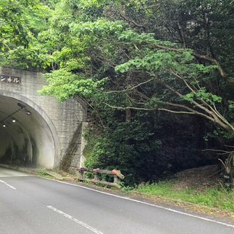 ここから山に入る