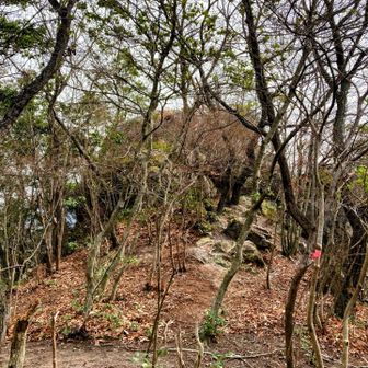 由伸岩🪨まで帰ってきました
帰り道は巻き道で