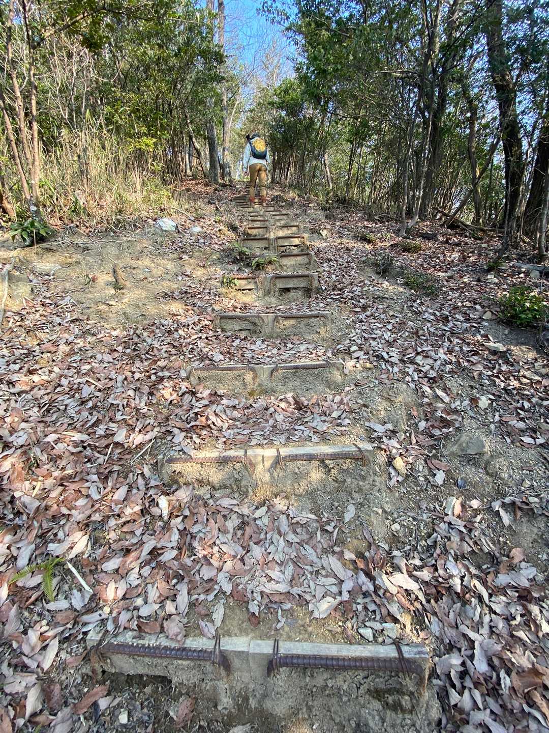 頂上が近づくと急登の階段が、