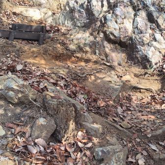 急登&ザレ場&落ち葉🍁けっこうキツイ…。(^_^;)