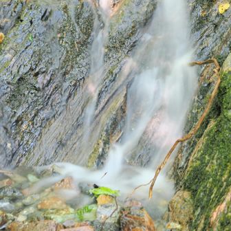 水の流れでも見て